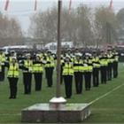 法律事务（交警方向）